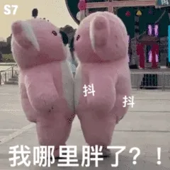 我哪里胖了？！（粉色考拉表情包）