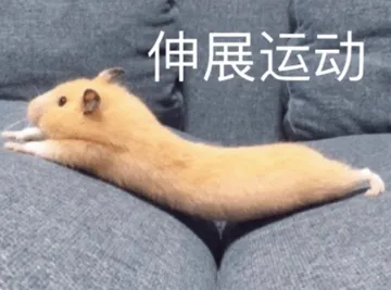 伸展运动