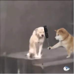 修勾 memes