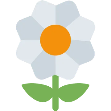 开花