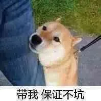带我保证不坑