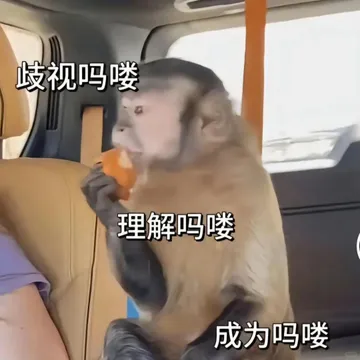 歧视吗喽理解吗喽成为吗喽