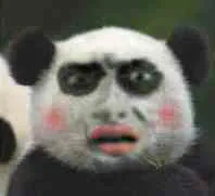 卧槽，这是怎么了？（熊猫人黑眼圈doutula