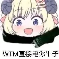 WTM直接电你牛子