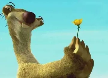 A dandelion