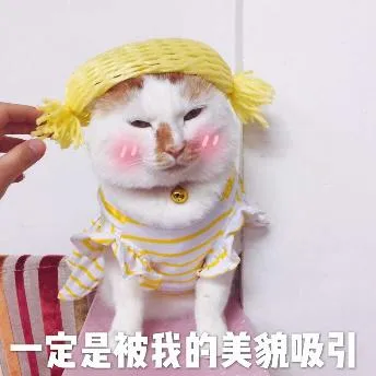 一定是被我的美貌吸引