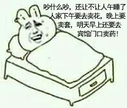 情人节:吵什么吵还让不让人家午睡了 人家下午要去卖花晚上要去