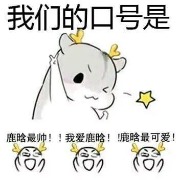 我们的口号是鹿晗最帅!!我爱鹿晗!!鹿晗最可爱!6,(,(6