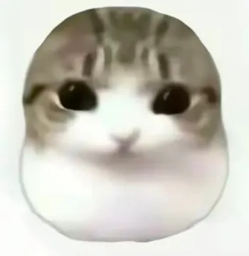 被生活磨平了棱角小猫表情包