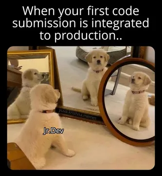 Future Senior Dev