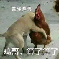 美你麻痹鸡哥.算算