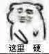 这里硬（坏坏）