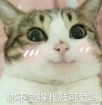 你不觉得我敲可爱吗