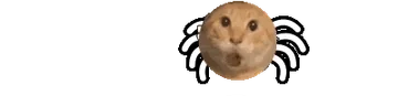 蜘蛛耄耋