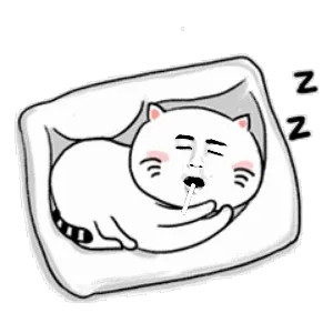喵喵睡着了