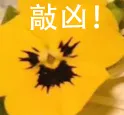敲凶！