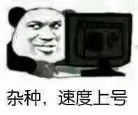杂种.速度上号