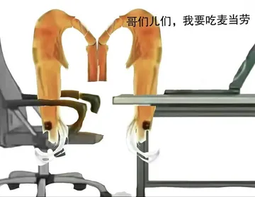 虾头哥们儿我要吃麦当劳