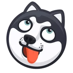 柴犬吐舌头