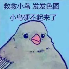 救救小鸟发发色图.小鸟硬不起来了