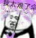 我太难了车
