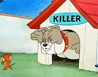 汤姆坏笑进屋关门表情包gif—猫和老鼠系列