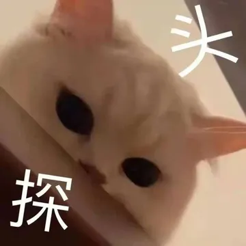 头探