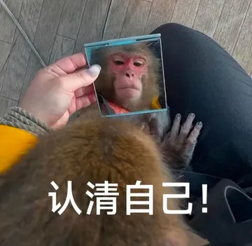职场怼人必备表情包