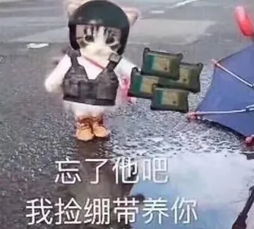 忘了他吧.我捡绷带养你