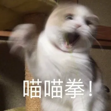 喵喵拳！