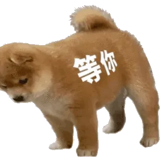 等你