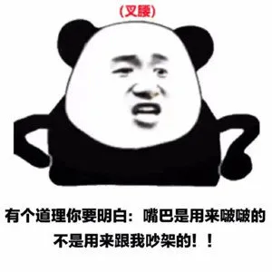 叉腰有个道理你要明白 嘴巴是用来啵啵的不是用来跟我吵架的!!(熊猫头表情包)