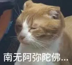 南无阿弥陀佛