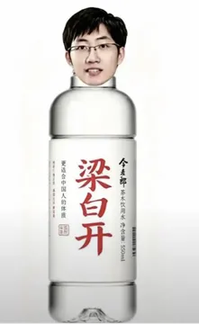 梁白开 更适合中国人的体质 全麦郎茶木饮用水净含量：5S0