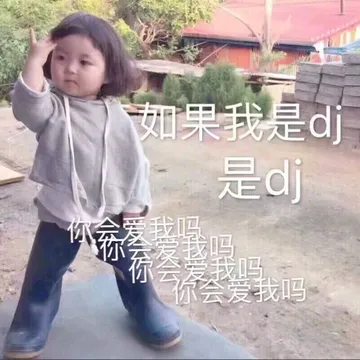 如果我是 dj，是 dj。你会爱我吗？（罗熙）