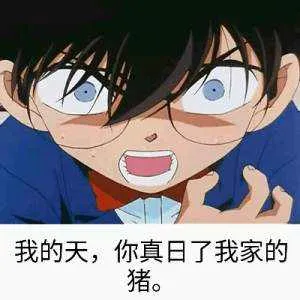 我的天.你真日了我家的猪!(柯南)