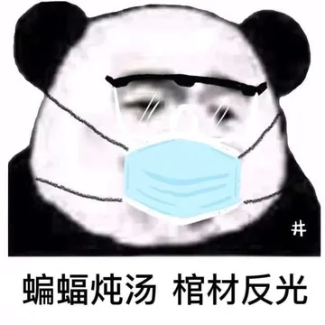 蝙蝠炖汤，棺材反光