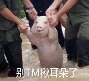 你：我不要面子的啊？