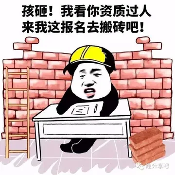 孩砸！我看你资质过人，来我这报名去搬砖吧！