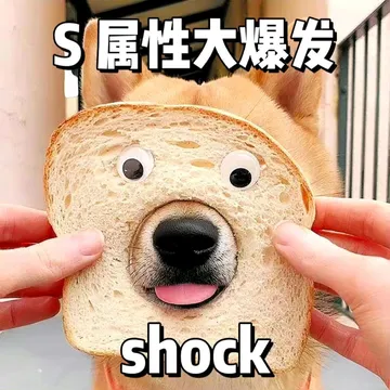 S属性大爆发shock