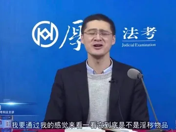 罗翔：要通过我的感觉来看一看它到底是不是淫秽物品