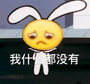 我什么都没有