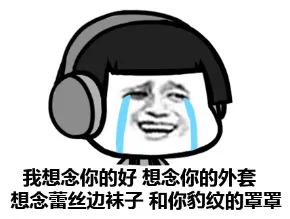 我想念你的好，想念你的外套，想念蕾丝边袜子，和你豹纹的罩罩