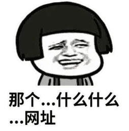 那个什么什么网址