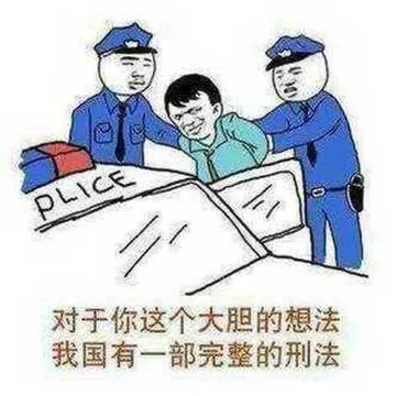 对于你这个大胆的想法，我国有一部完整的刑法