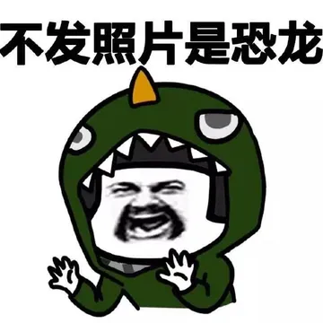 不发照片是恐龙！