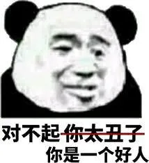 对不起.你太丑了.是一个好人