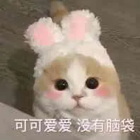 可可爱爱没有脑袋