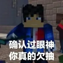 我的世界+反迷你