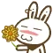 闻菊花！